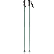 Atomic Cloud Ski Poles