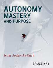 Autonomy, Mastery and Purpose in Avalanche Path