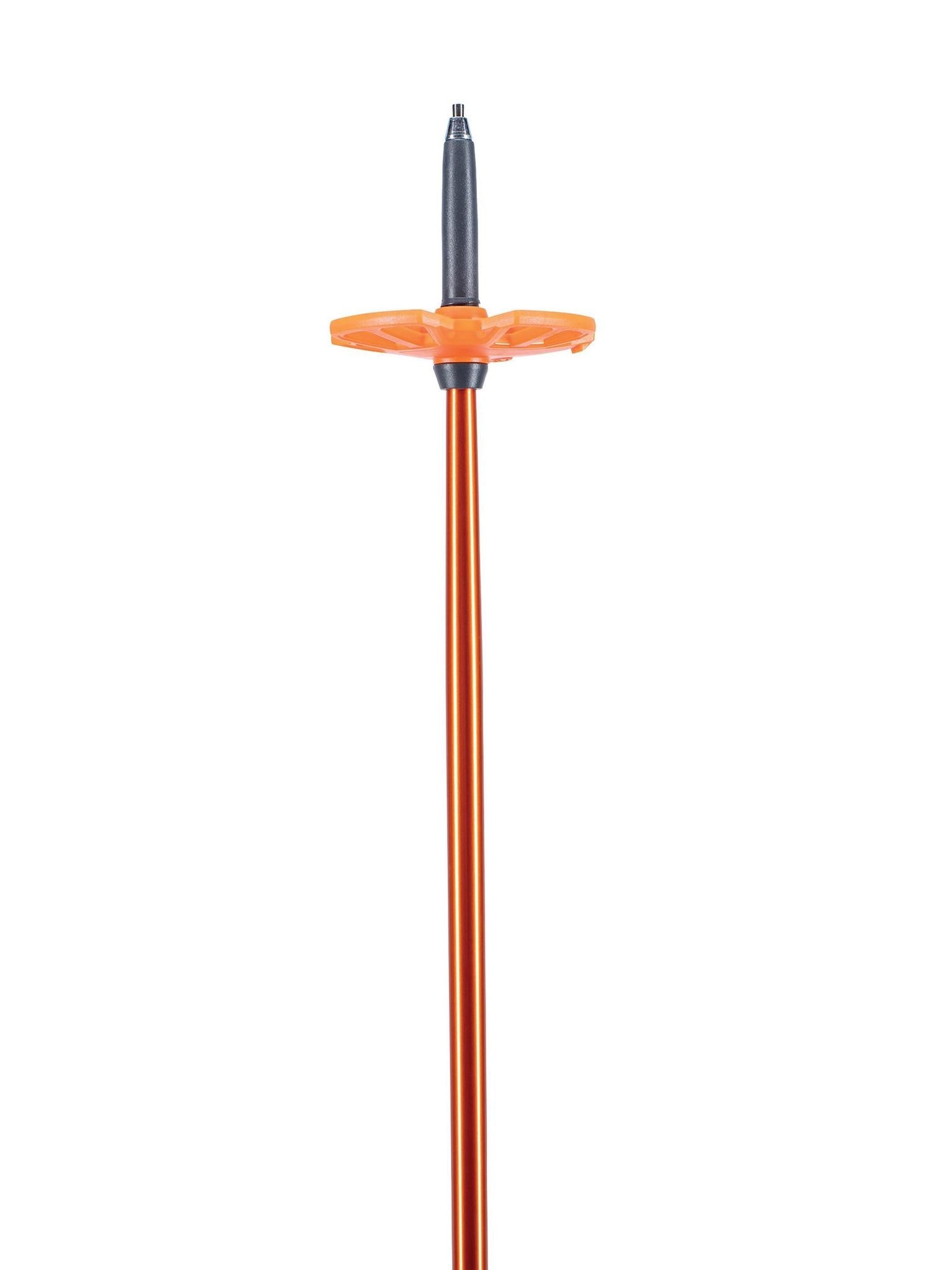 BCA Scepter Aluminum Ski Poles