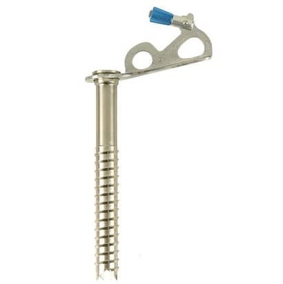 Black Diamond Express Ice Screws