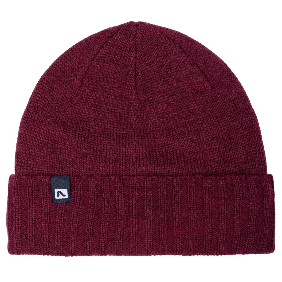 Flylow Forecaster Beanie