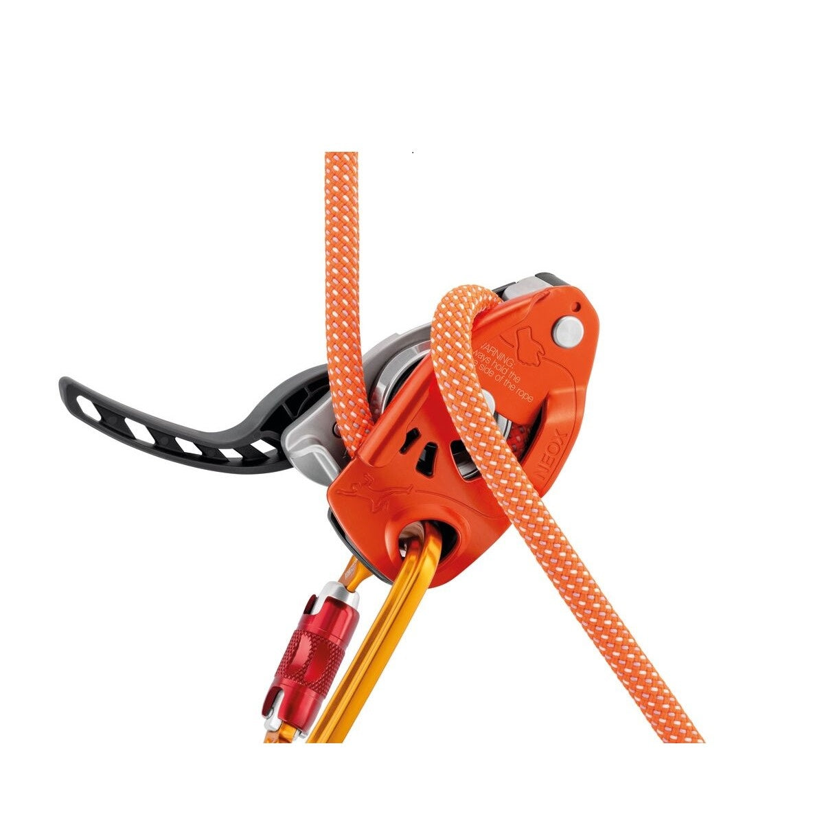 Assureur Petzl Neox