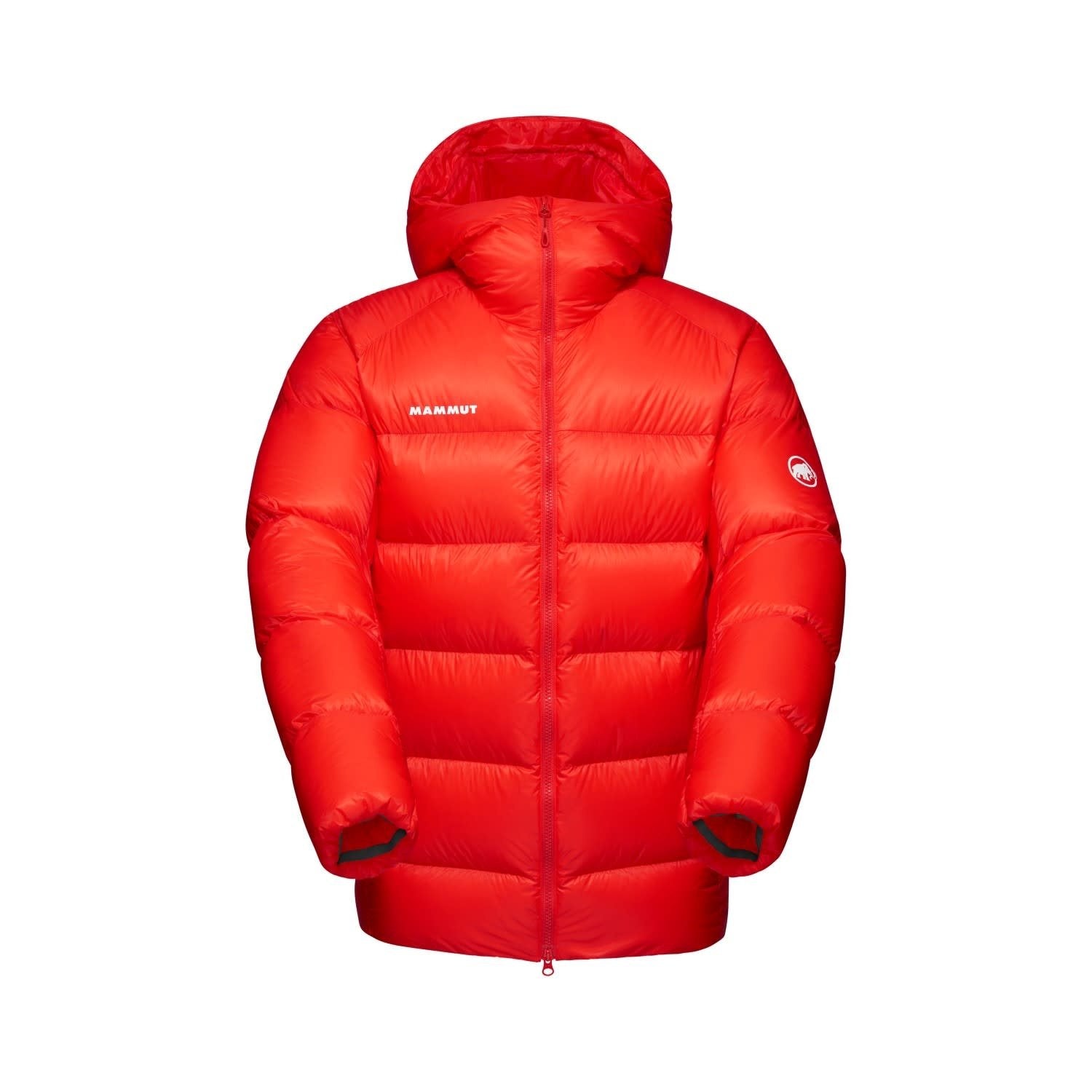 Mammut Taiss Pro IN Hooded Jacket - Men