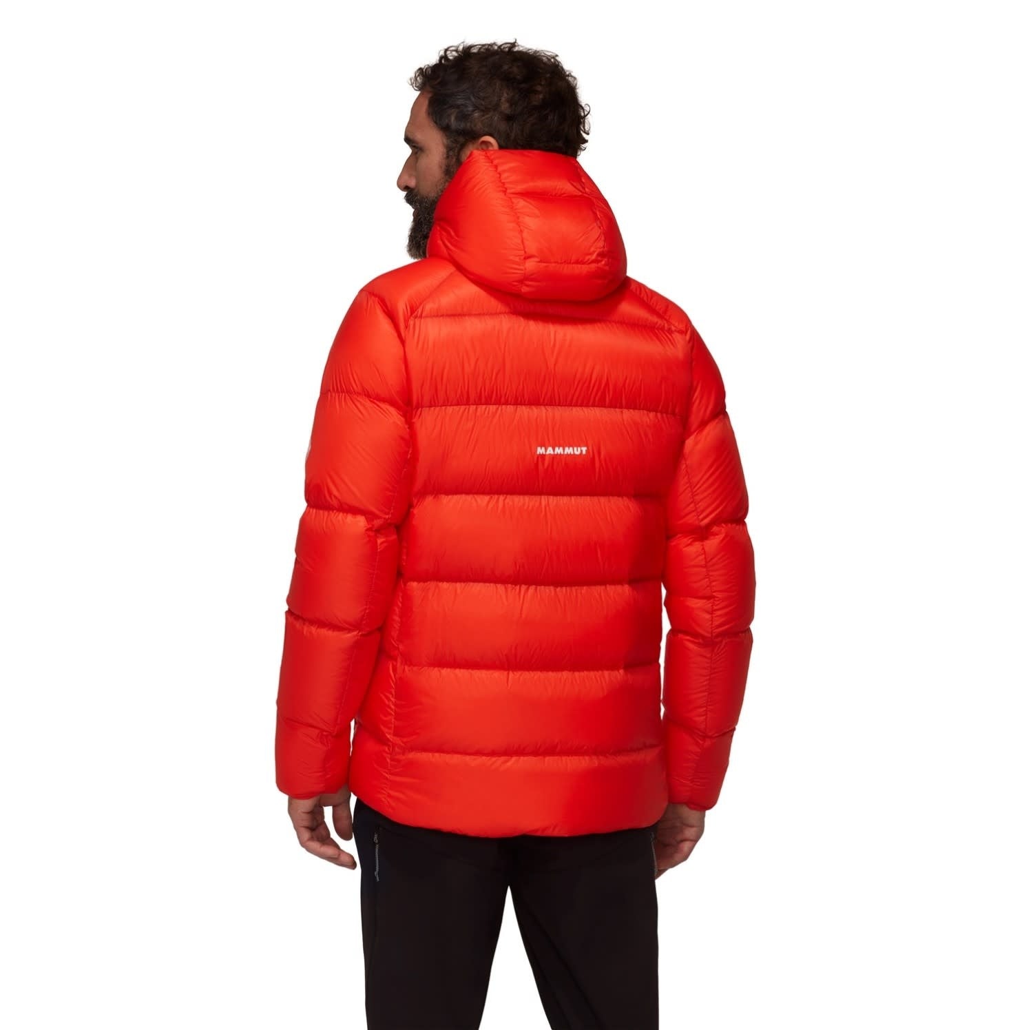 Mammut Taiss Pro IN Hooded Jacket - Men