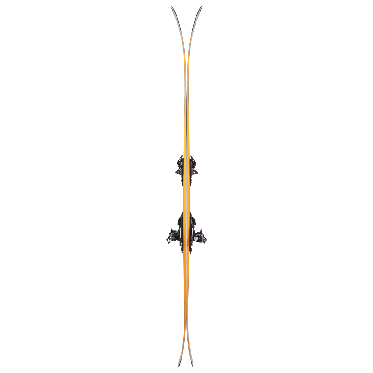 2027 Dynafit Tigard 107 Skis
