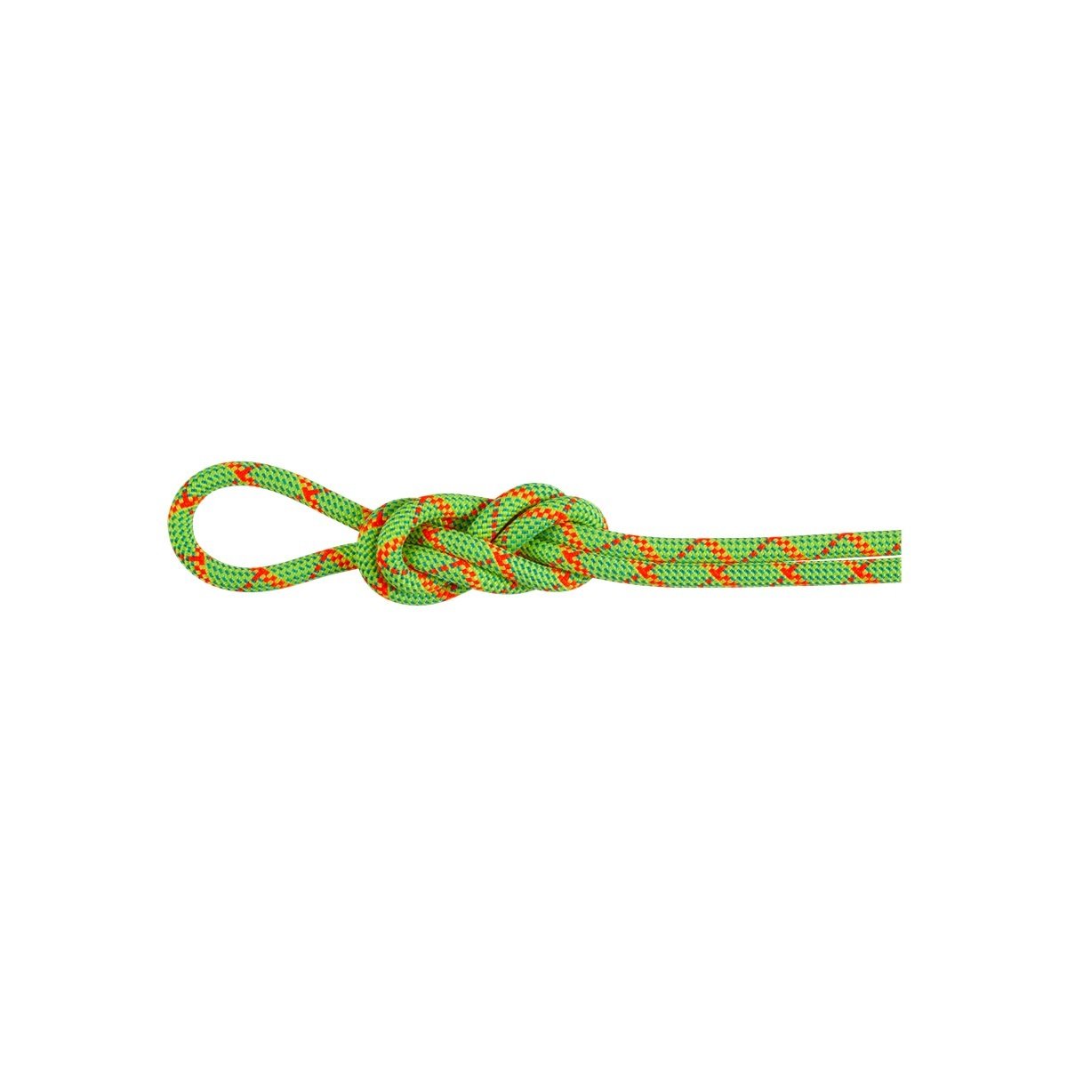 Mammut 8.0 Alpine Core Protect Dry Rope