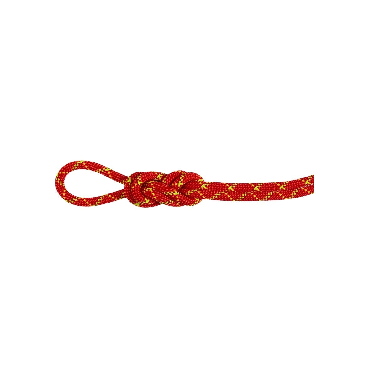 Mammut 8.0 Alpine Core Protect Dry Rope