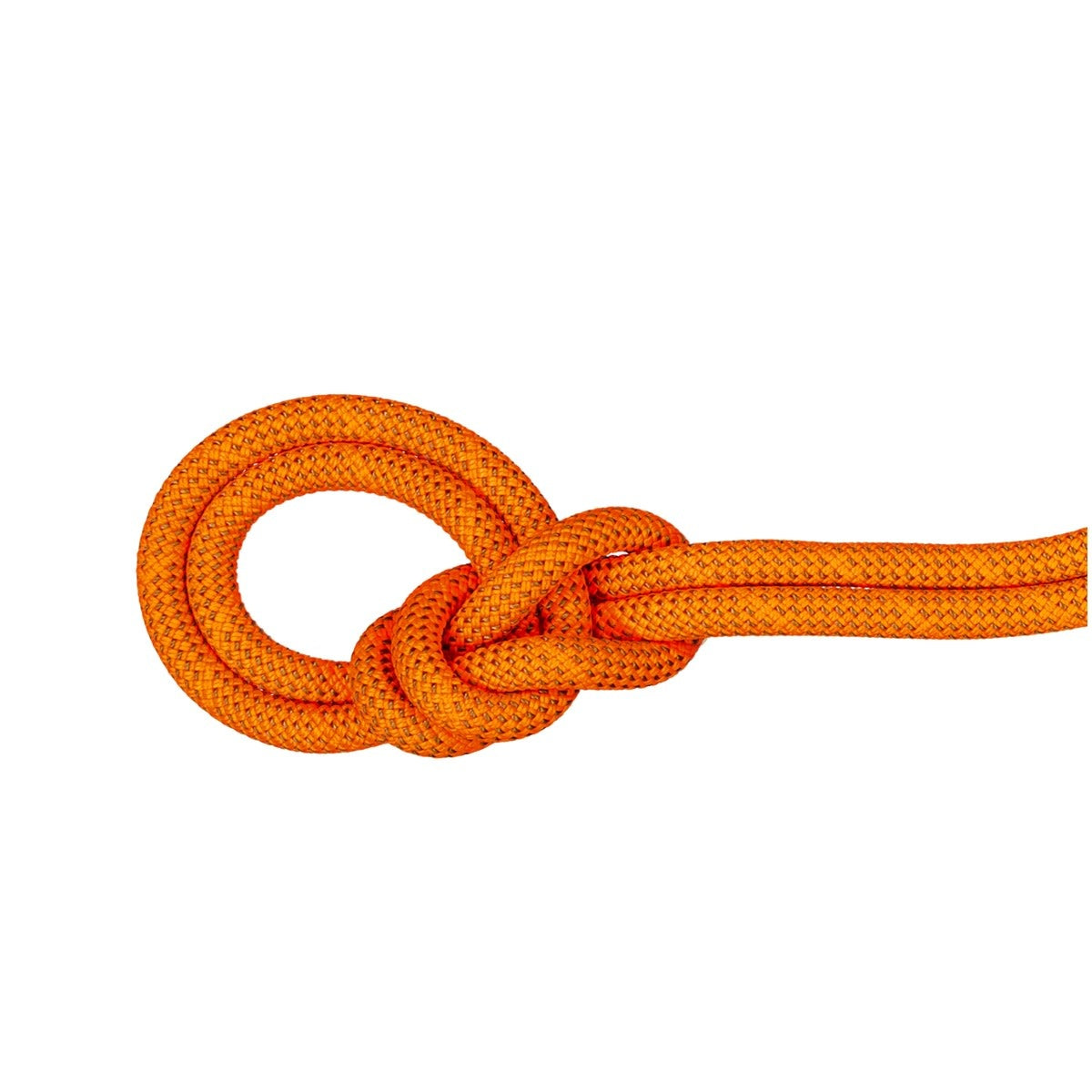 Mammut 9.8 Crag Dry Rope