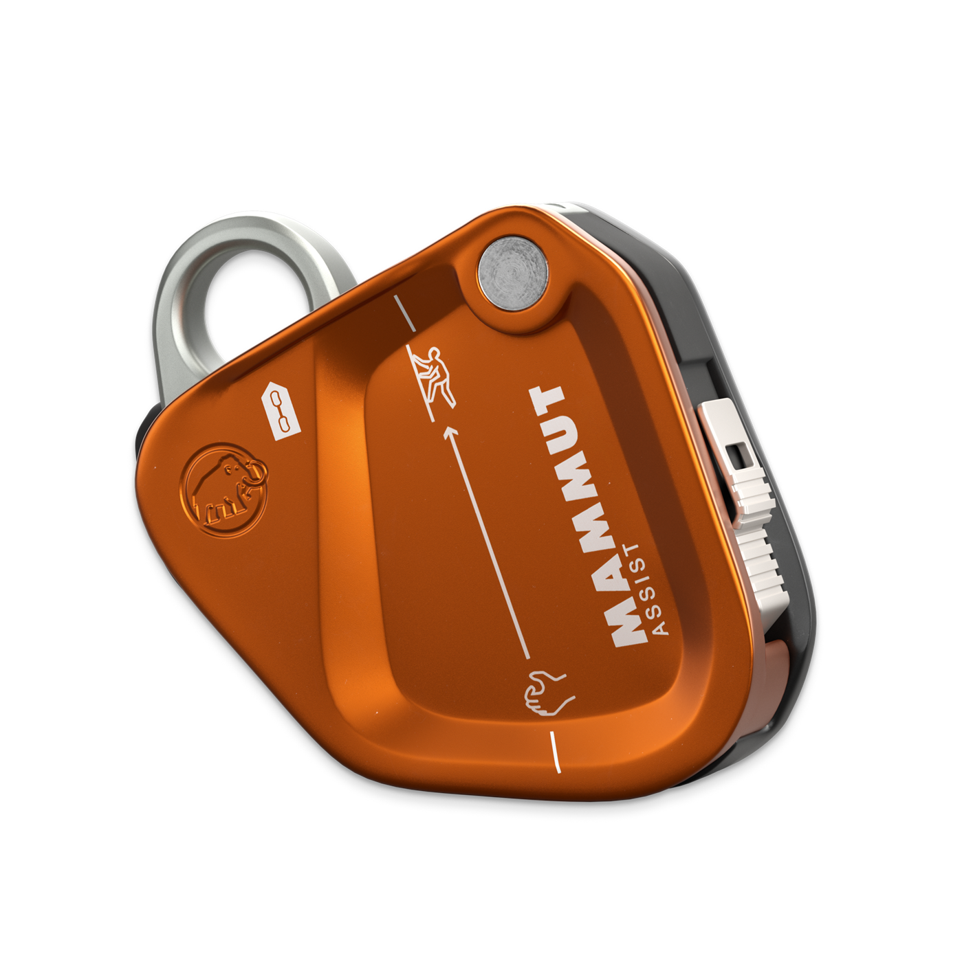 Mammut Assist Belay Resistor
