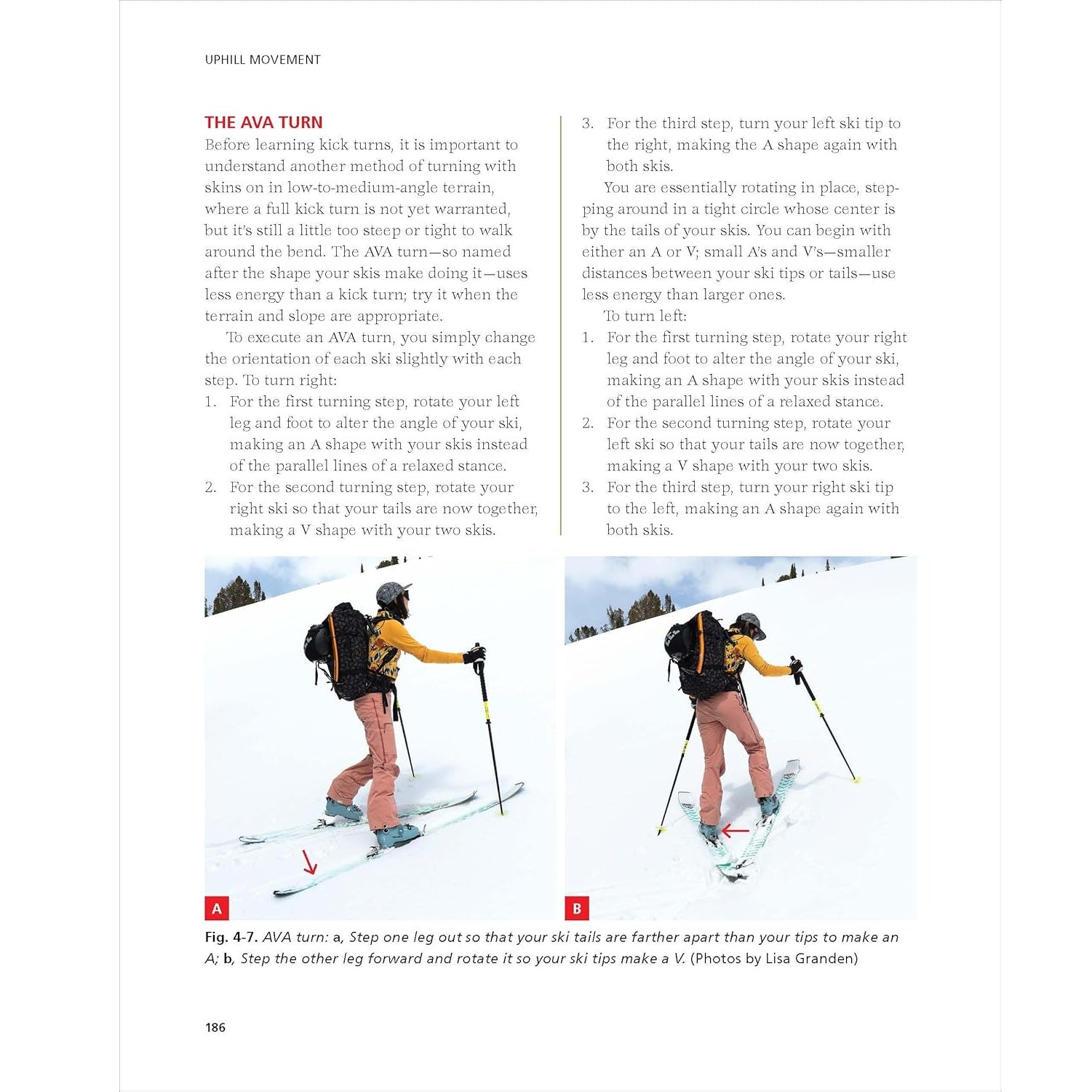 Backcountry Skiing - Skills for Ski Touring and Ski Mountaineering