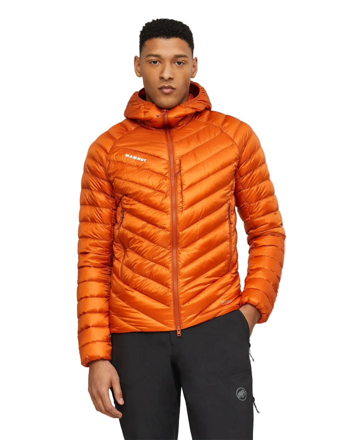 Mammut Broad Peak IN Hooded Down Jacket - Men