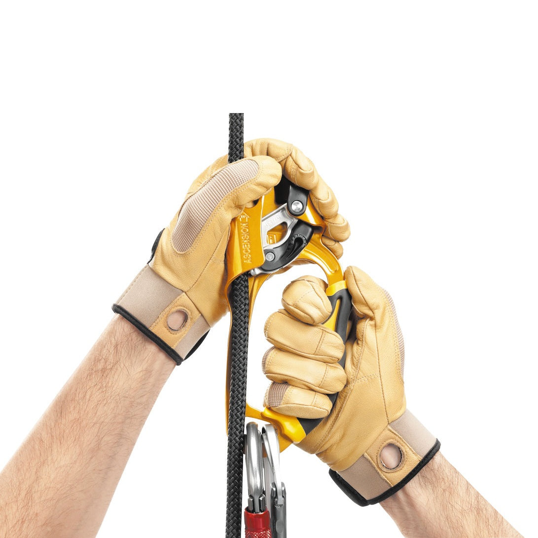 Petzl Ascension Handles