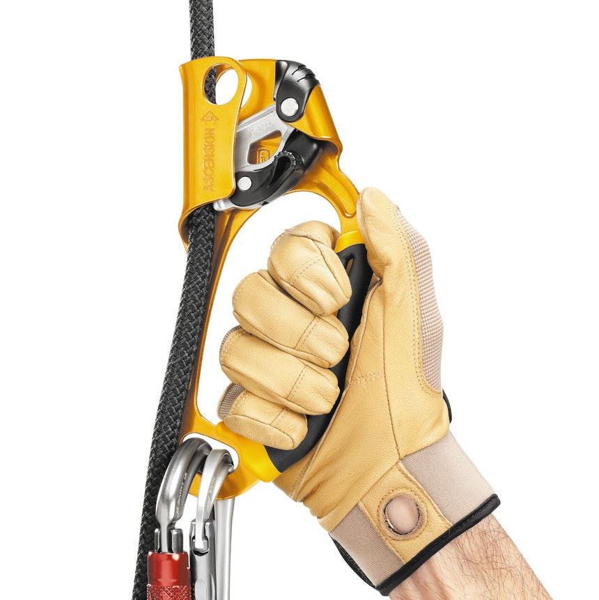Petzl Ascension Handles