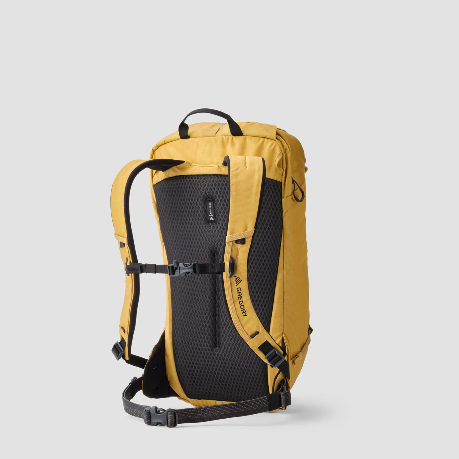 Sac à dos Gregory Alpinisto 25L 