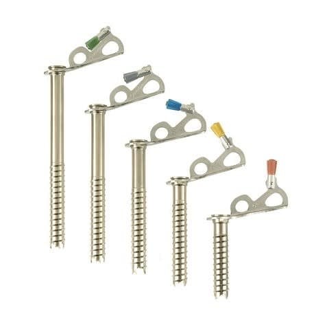 Black Diamond Express Ice Screws