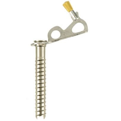 Black Diamond Express Ice Screws
