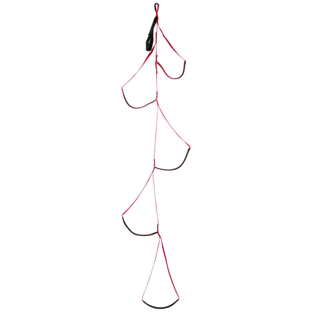 Black Diamond Alpine Aider