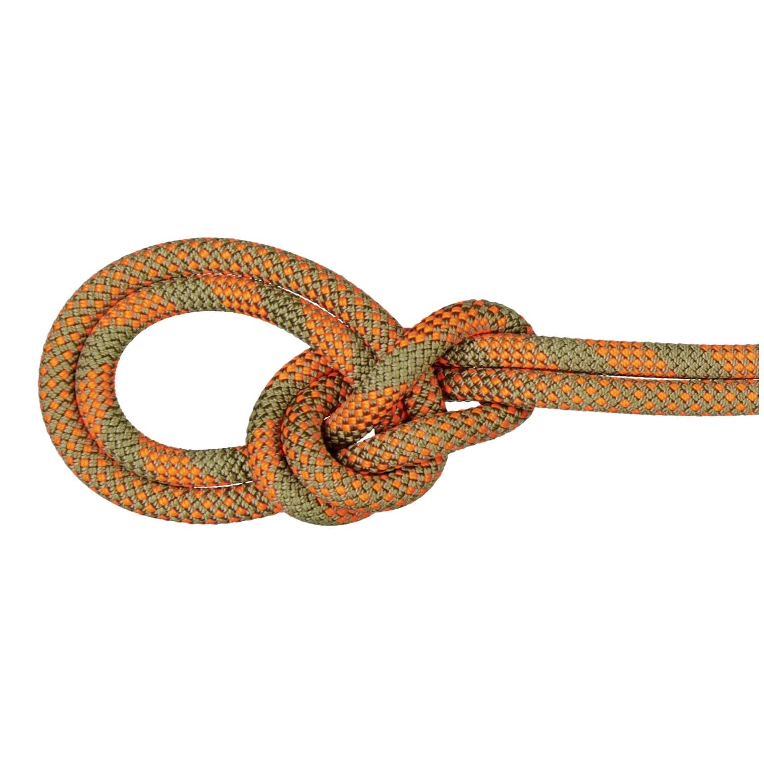 Mammut 9.5 Crag Dry Rope Duodess