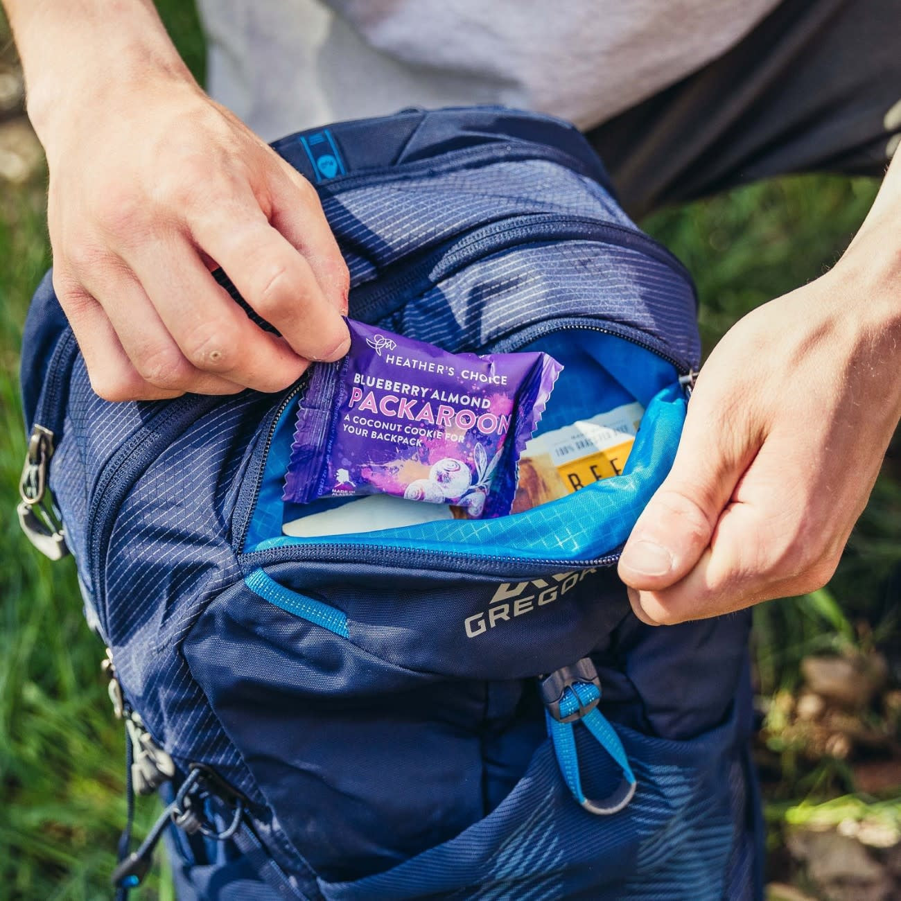 Gregory Miko 25 Backpack - Men