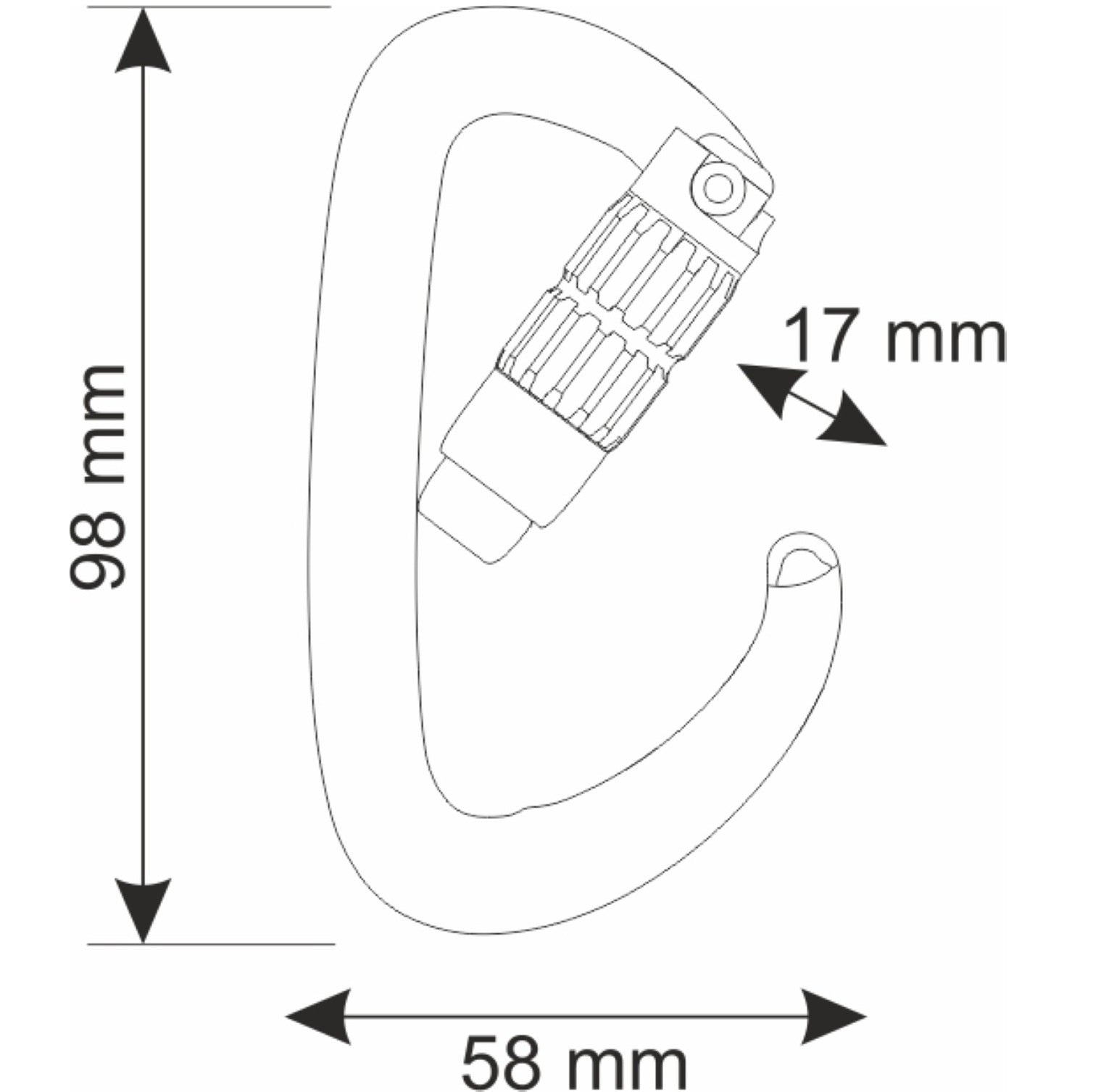 CAMP Orbit 2Lock Carabiner