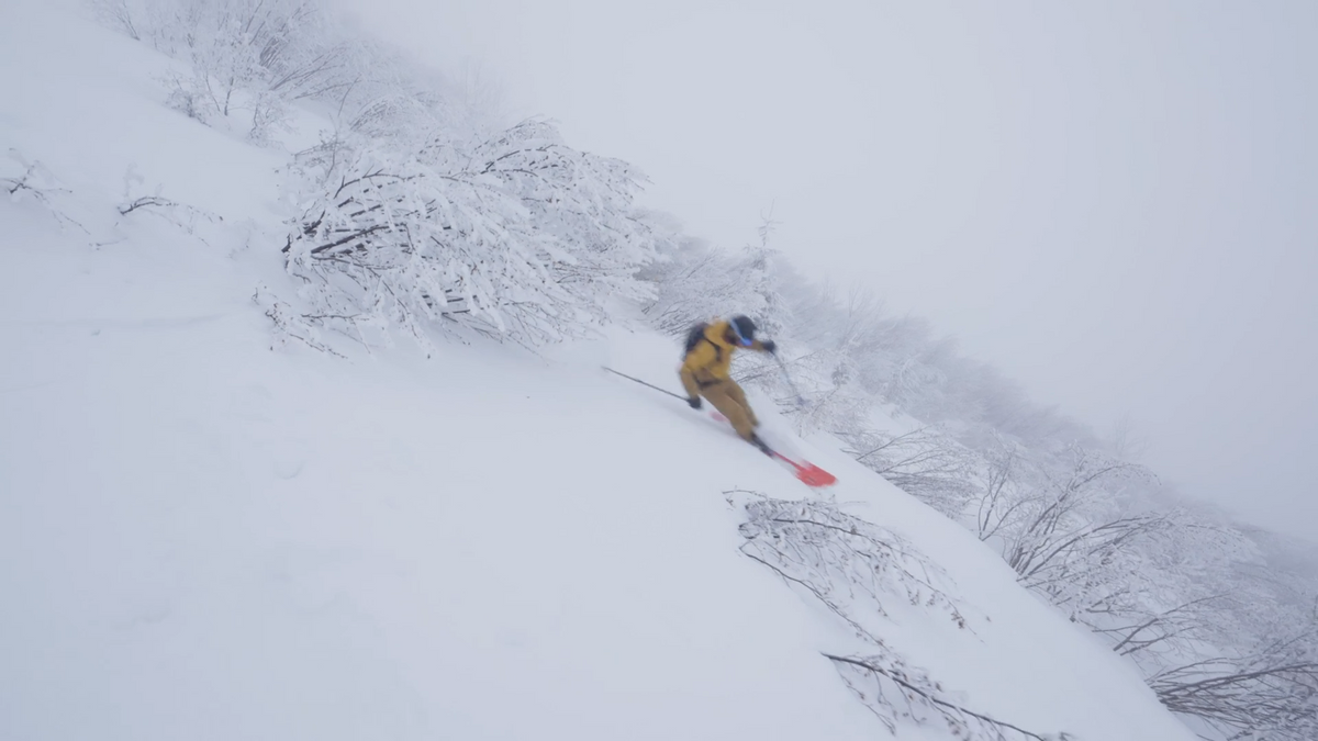 Load video: Black Diamond Dawn Patrol Softshell - Men