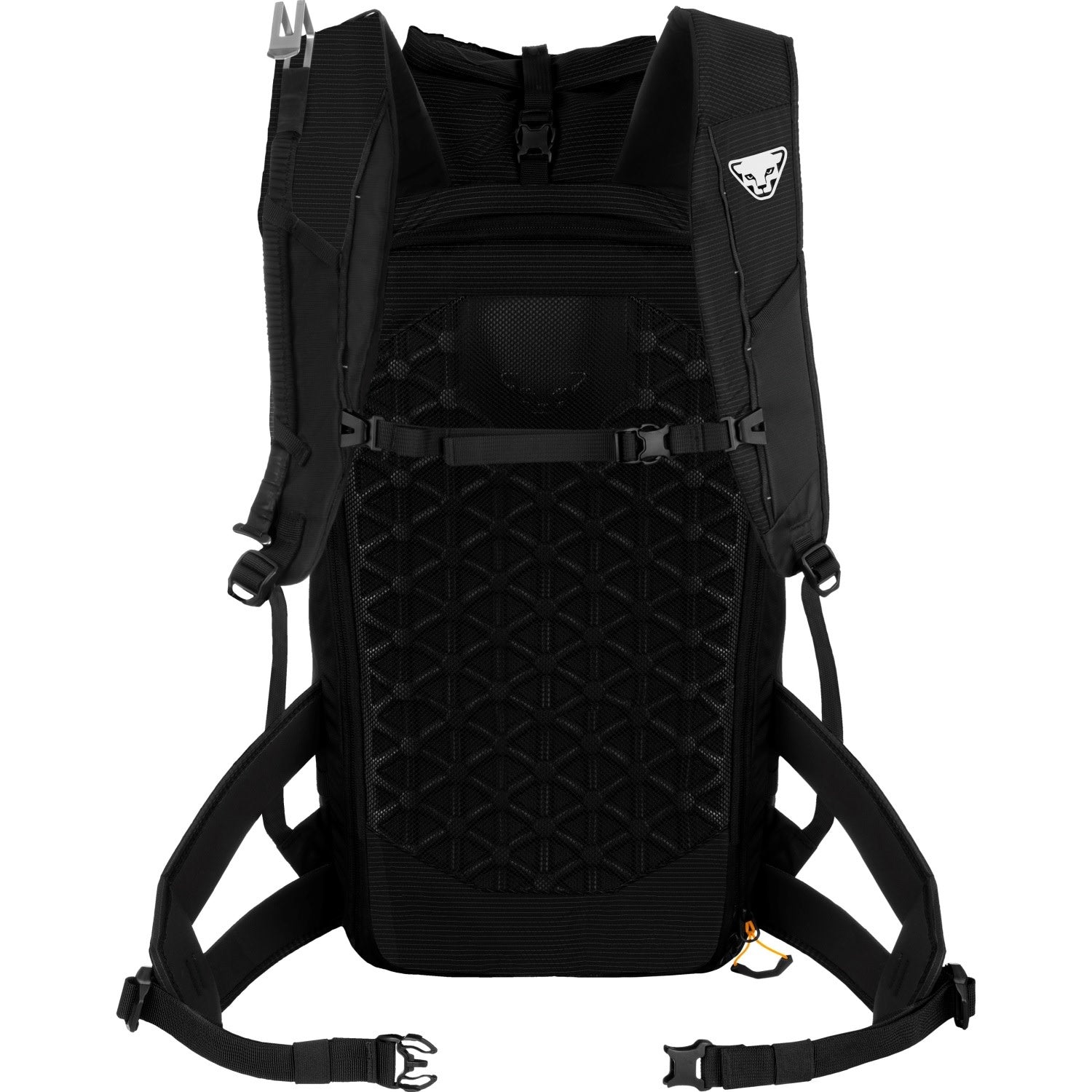 Dynafit Radical 30+ Backpack - Men