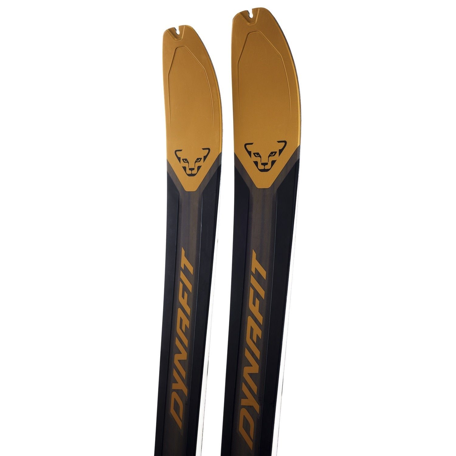 Dynafit Ridge 95 Ski