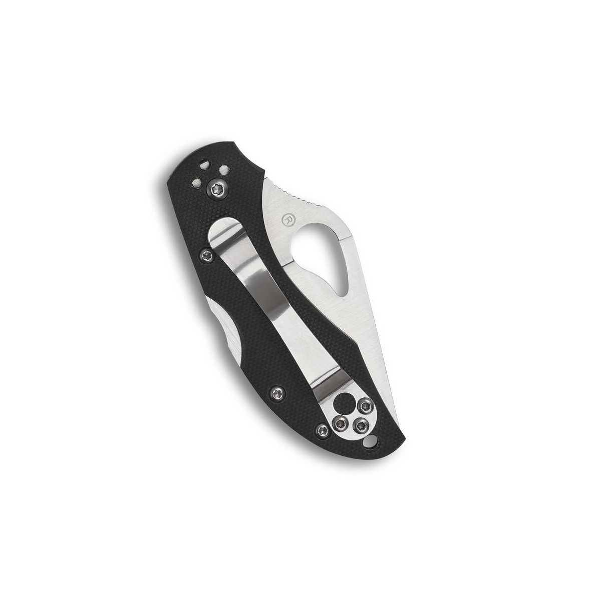 Couteau Spyderco Byrd Robin 2 à lame verrouillable