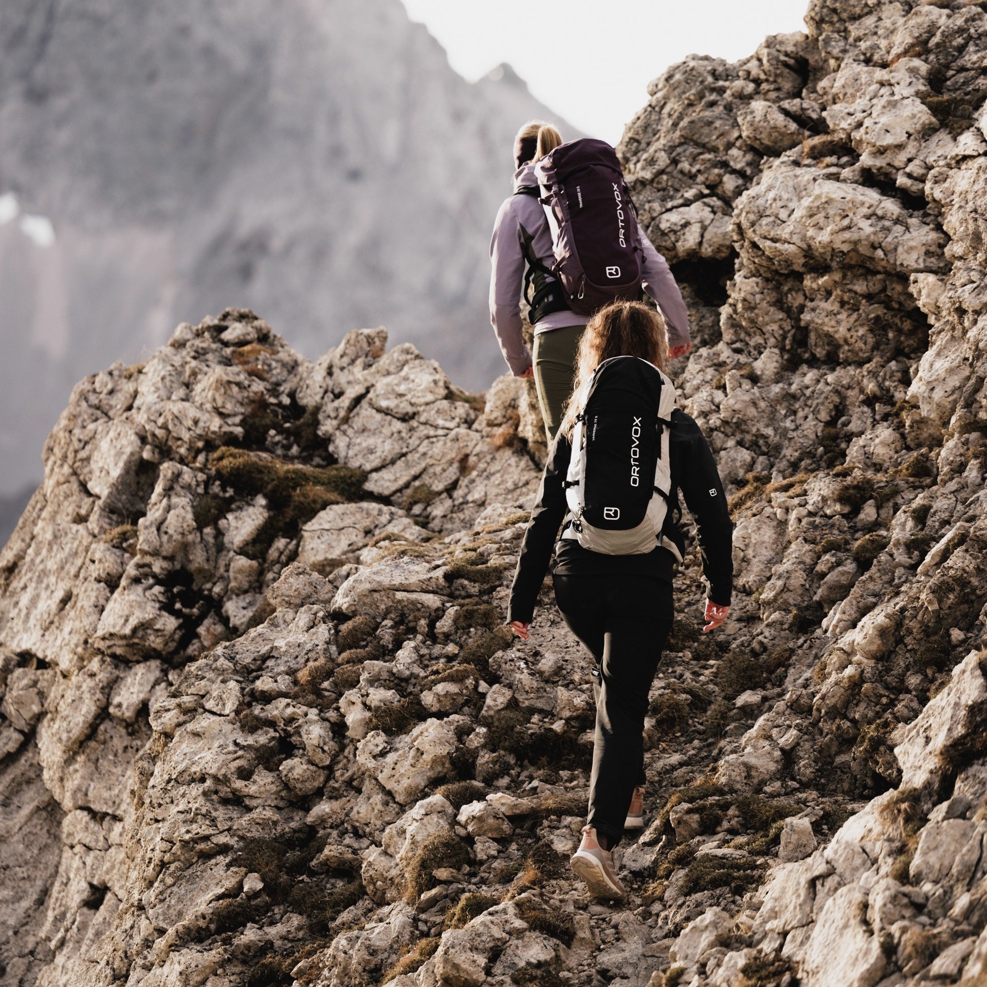 Sac à dos  Ortovox Traverse Pure 28 S